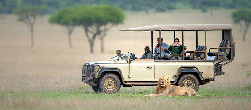 Game drive on the Serengeti with guests watching a male lion.