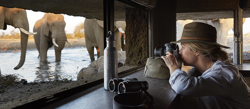 Woman taking photos of elephants at a waterhole from a hide in Zimbabwe