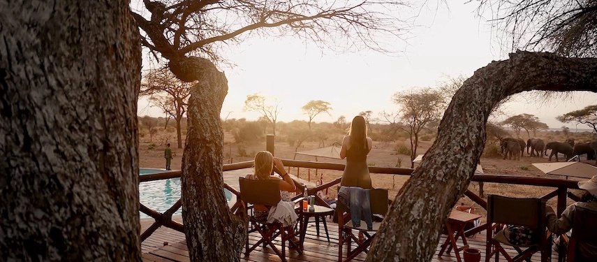 Guests relaxing on a wooden deck at Tarangire Simba Lodge, watching a herd of elephants in the distance during sunset.