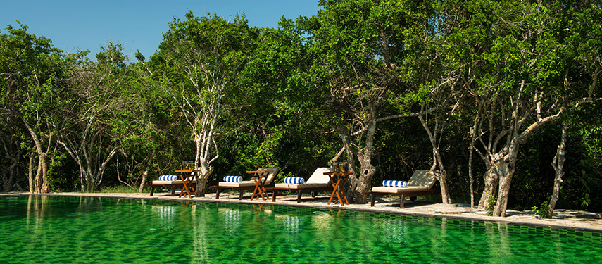 Pool view at a secluded resort in Sri Lanka