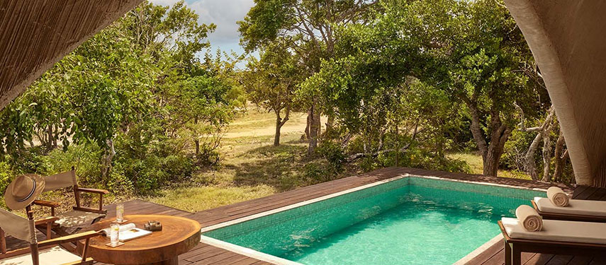 Private plunge pool surrounded by trees at Uga Chena Huts, Sri Lanka
