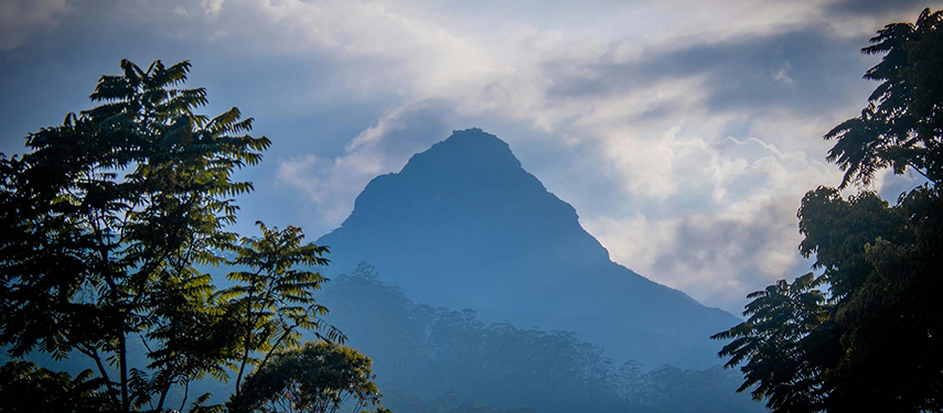 Mountainous region of Sri Lanka at sunset