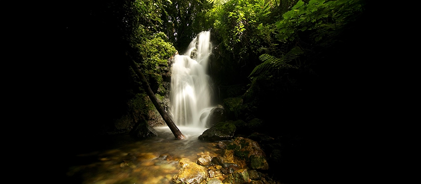 A secluded waterfall hidden within the rainforest near Volcanoes Bwindi Lodge, surrounded by mossy rocks and lush green vegetation.