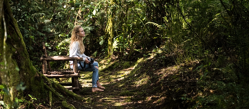 A guest seated quietly on a forest trail near Volcanoes Bwindi Lodge, taking in the peaceful sights and sounds of Bwindi Impenetrable Forest.