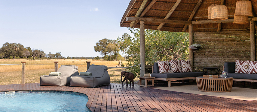 Swimming pool at Chitabe Lediba safari Camp, Okavango Delta, Botswana