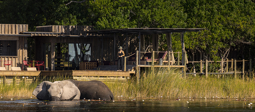 Little DumaTau tented safari camp on a riverbank with guest watching elephants in the water