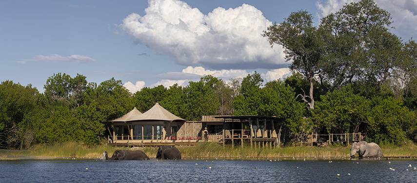Little DumaTau tented safari camp on a riverbank with elephants in the water