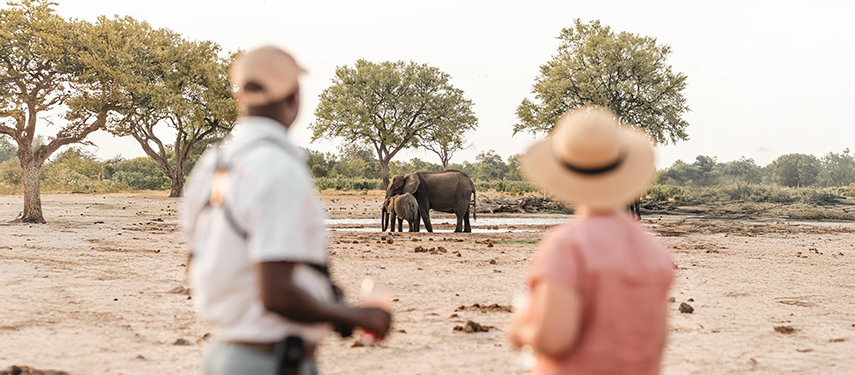 A guide and guest watch a group of elephants gathered at a nearby waterhole.