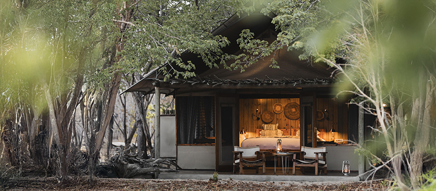 A warmly lit tented suite surrounded by trees, with the interior glowing at twilight.