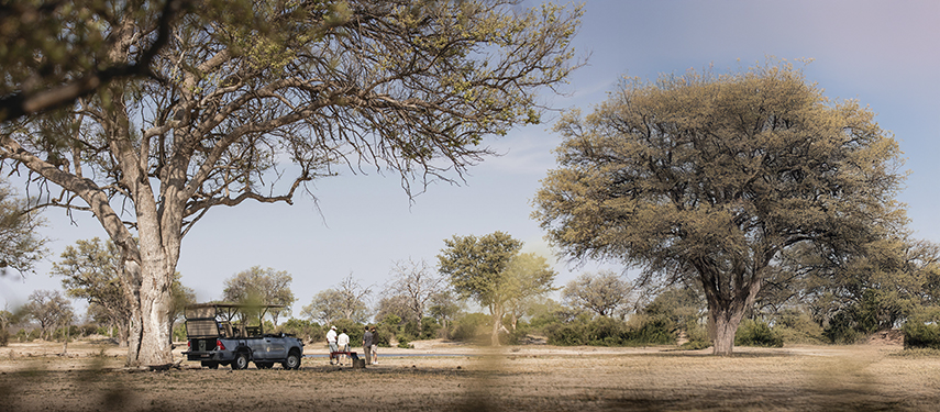 Safari vehicle parked under tall trees as guests enjoy a bush break in the shade.