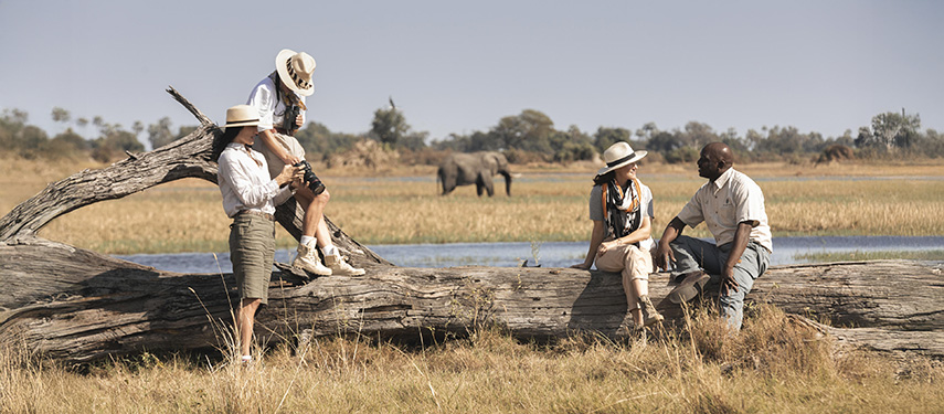 Three female guests talk to a safari guide on the plains of Botswana with an elephant drinking in the background
