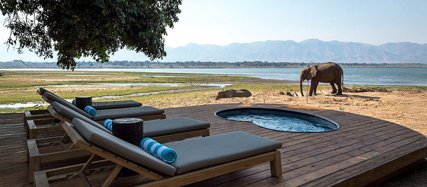 Private heart-shaped plunge pool at Little Ruckomechi safari camp, Zimbabwe