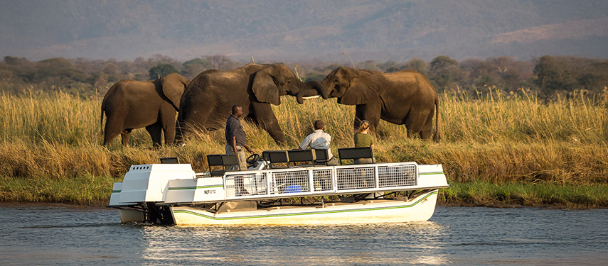Tourists taking a boat safari on the Zambezi River with elephants on the banks.