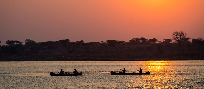 Tourists canoeing on the Zambezi River at sunset