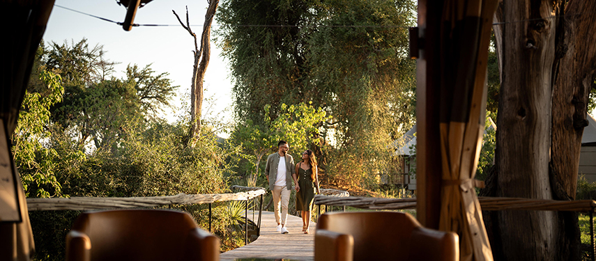 Couple walks along a boarwalk in the African bush