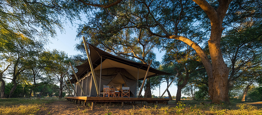 Elevated tented suite with a shaded deck in the afternoon light