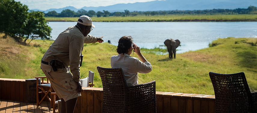 Guide and guest observing an elephant from the viewing deck