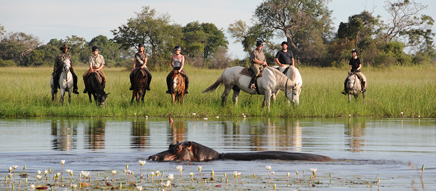 Horseback safari at Macatoo Camp African Horseback Safaris Okavango Delta Botswana