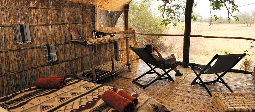 Journey back in time at Chikoko Tree on the South Luangwa
