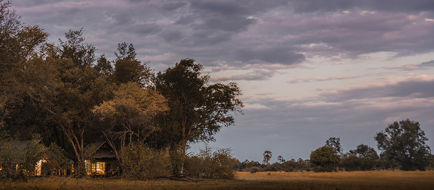 Chitabe Lediba Camp standard safari tents