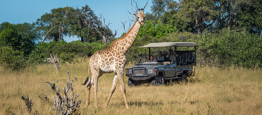 Guests view a giraffe on a game drive in Linyanti Reserve, Botswana