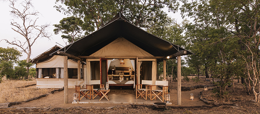 Front view of a family tent surrounded by trees in Hwange National Park