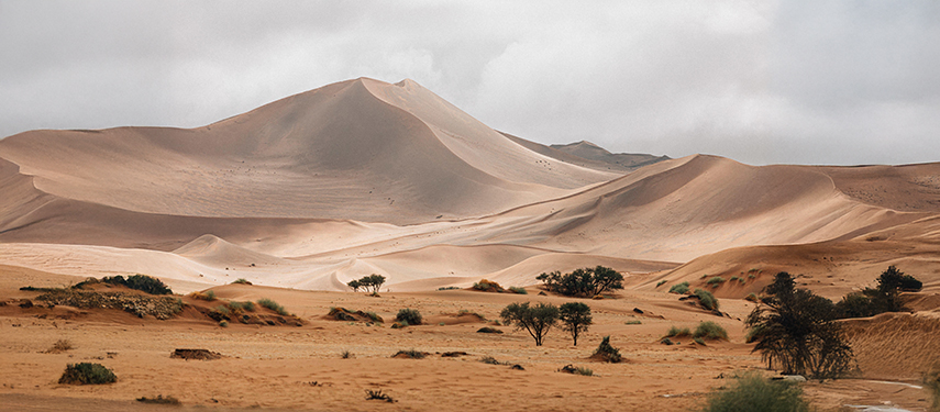 The Namibian landscape