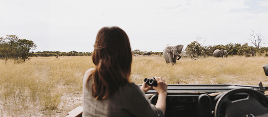 Woman with binoculars watches an elephant while on a game drive in Botswana's Okavango Delta