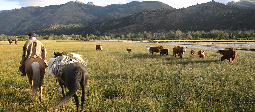 horse riding with Jakob von Plessen of Jakotango in Patagonia
