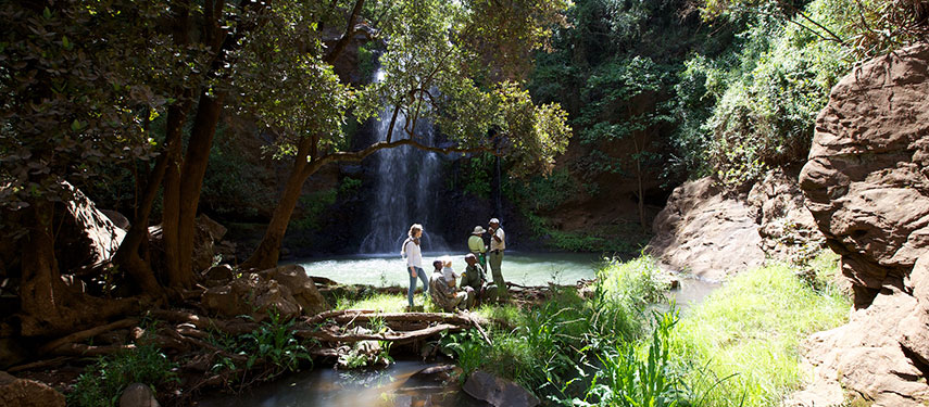 First class guides will take you on walks explaining the botany of the area