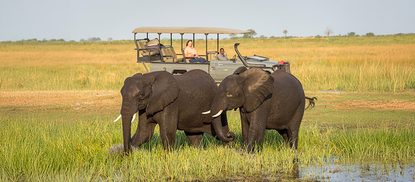 Guests of Linyanti Tented Camp view elephants while on a game drive in Botswana