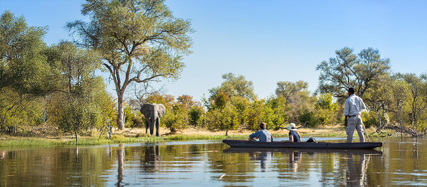 Guests in a mokoro glide silently along a calm channel as an elephant grazes on the riverbank.