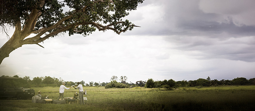 Guests enjoy a picnic on the plains of Botswana with an elephant drinking in the background