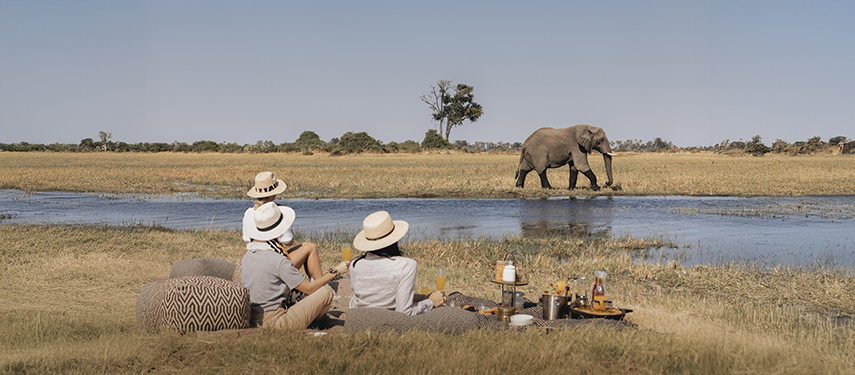 Group enjoys a picnic on a riverbank in Africa with an elephant on the far shore