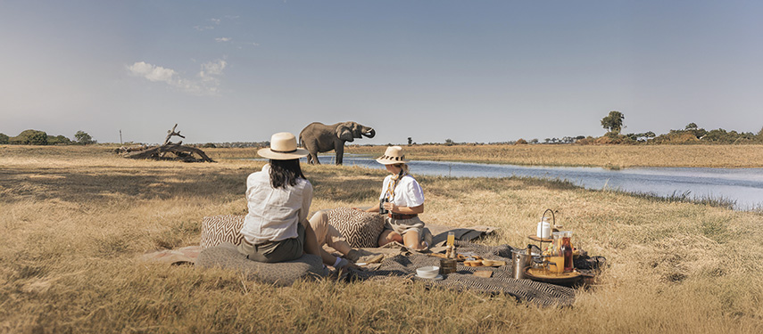 Two female guests enjoy a picnic on the plains of Botswana with an elephant drinking in the background