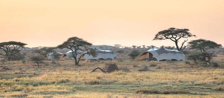 A wide-angle view of Namiri Plains safari camp in Tanzania