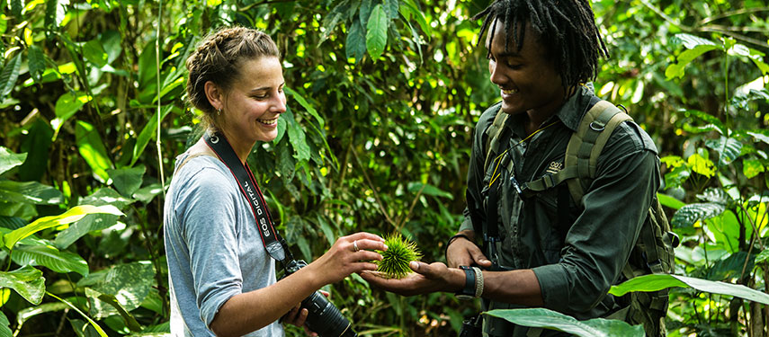Guiding at Ngaga Camp in the Republic of Congo