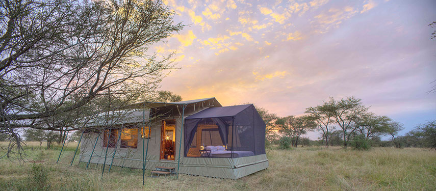 Tented luxury at Olakira Migration Camp near a great wildlife concentration