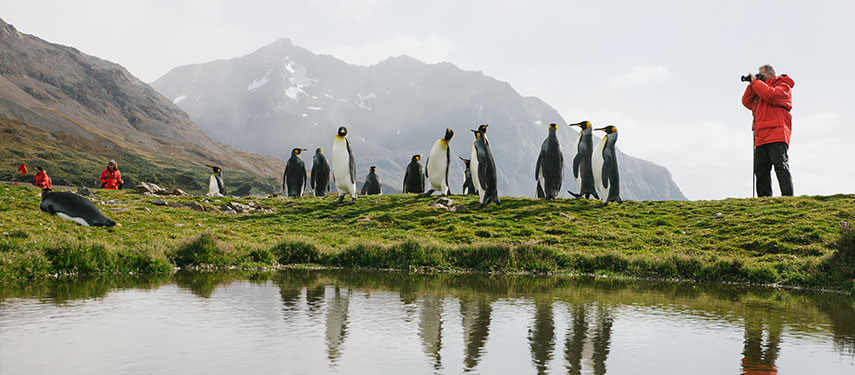 Emperor Penguin viewing on an Antarctica cruise with Poseiden