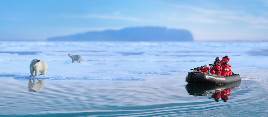 Polar bear excursion on zodiac with Poseiden and The Classic Safari Company