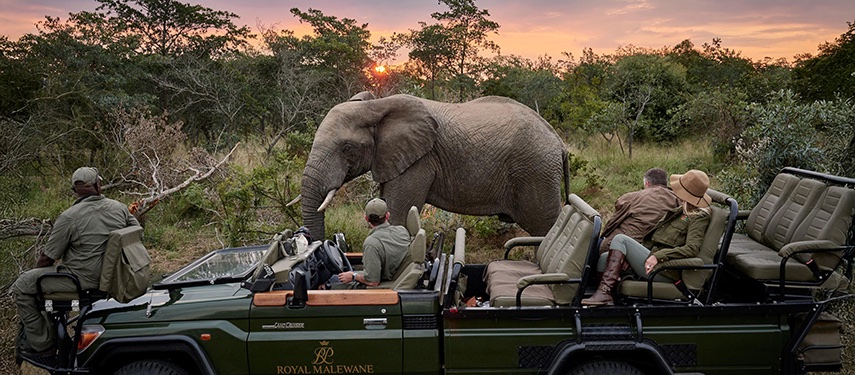 Safari Expedition Elephant Tour Jpeg South Africa Kruger National Park