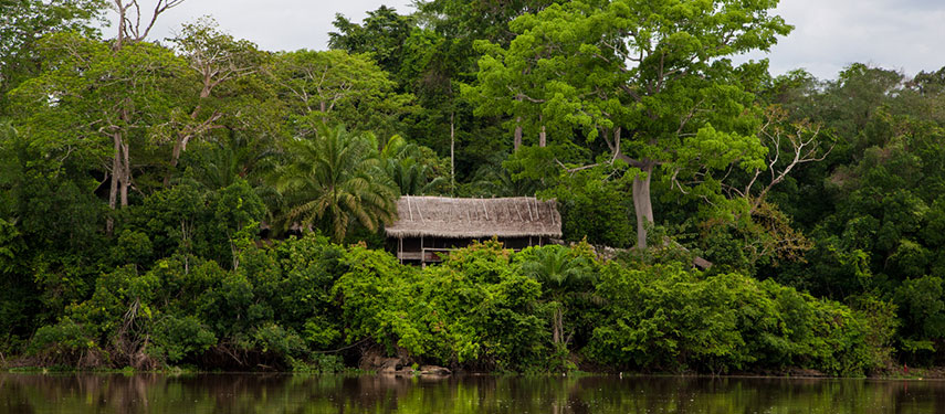 Sangha lodge is completely immersed in the rainforest canopy by the Sangha riverbed