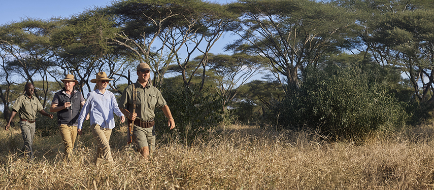 Two guests and two guides take a walking safari in Zimbabwe's Malilangwe Wildlife Reserve