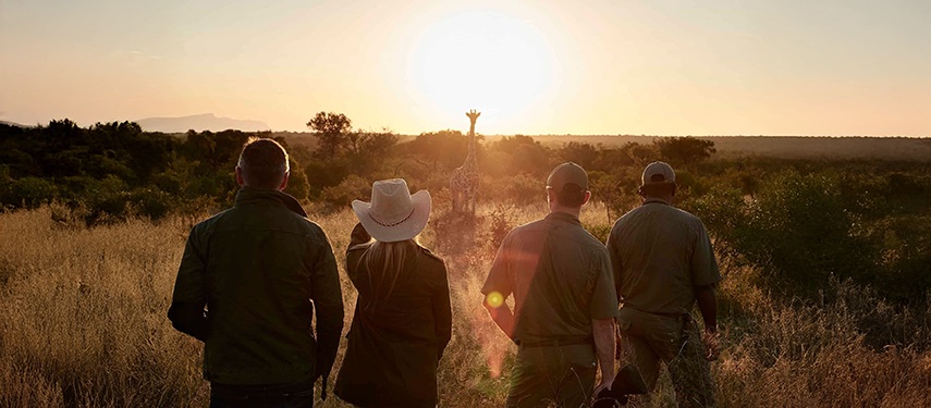 Sunset Safari Group Watching Giraffe Savanna Jpg South Africa Kruger National Park Walking Safari
