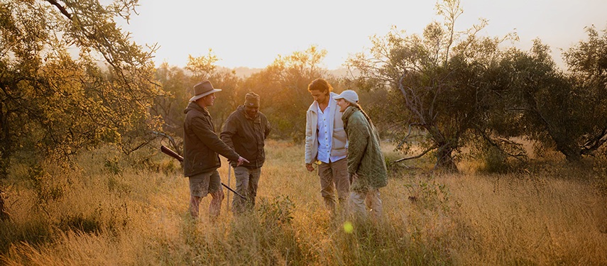 Sunset Safari Guided Tour Group African Bushland Jpg South Africa Kruger National Park Walking Safari