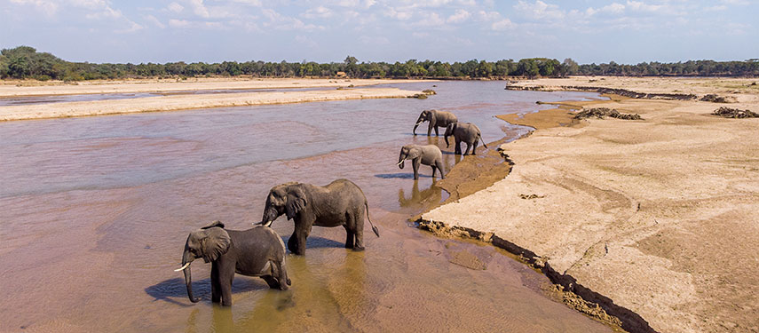 Prime wildlife country amidst kilometres of Africa's best at Takwela
