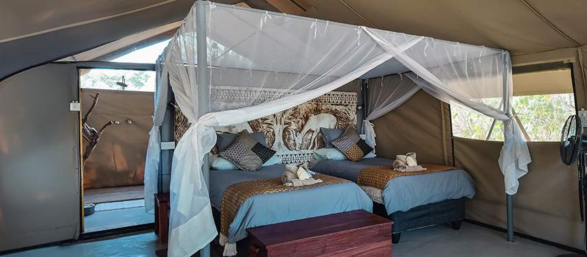 Twin room at Mhara River Camp, Mana Pools, Zimbabwe