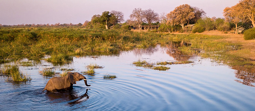 An elephant walks through the Linyanti floodwaters in Botswana near Linyanti Tented Camp
