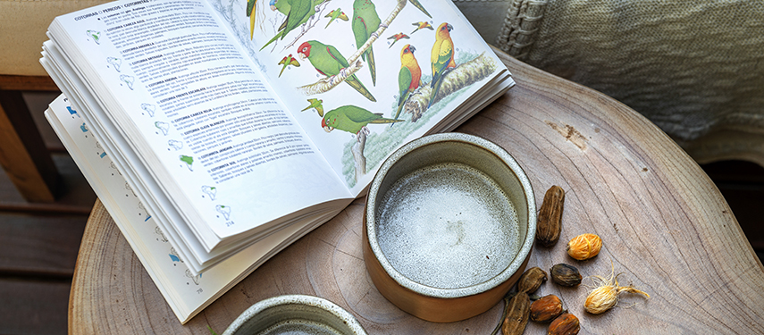 Awasi Iguazu jungle lodge in Argentina