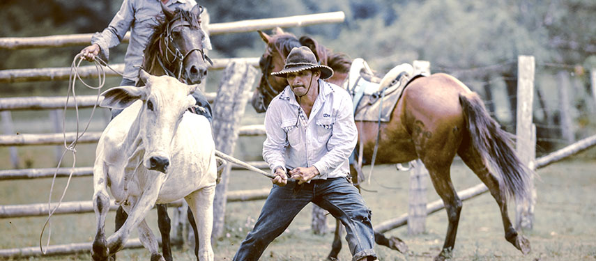 Rural Colombia at its best at Corocora Camp